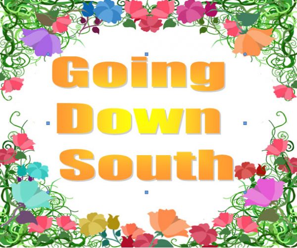 going-down-south-tomorrow-biz-info-123