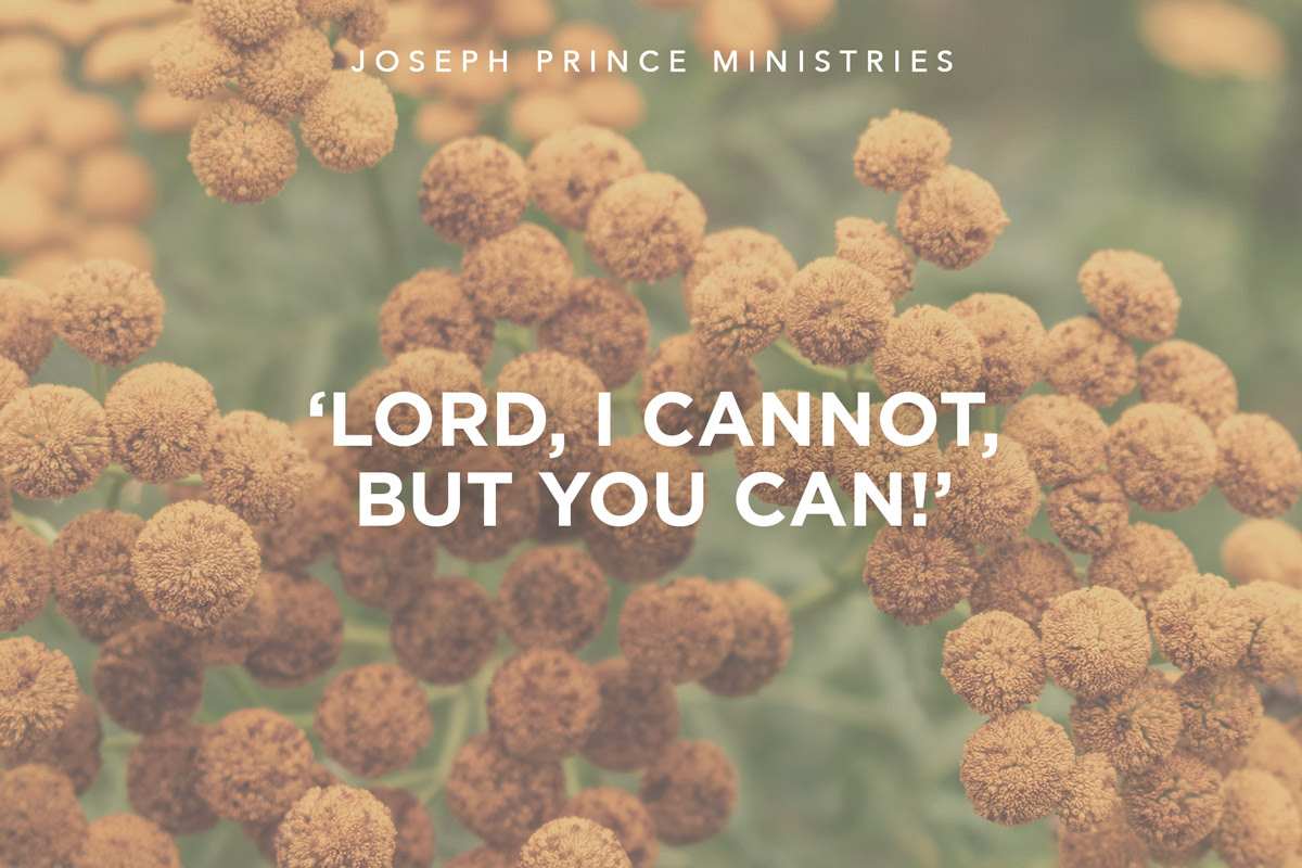 lord-i-cannot-but-you-can-biz-info-123