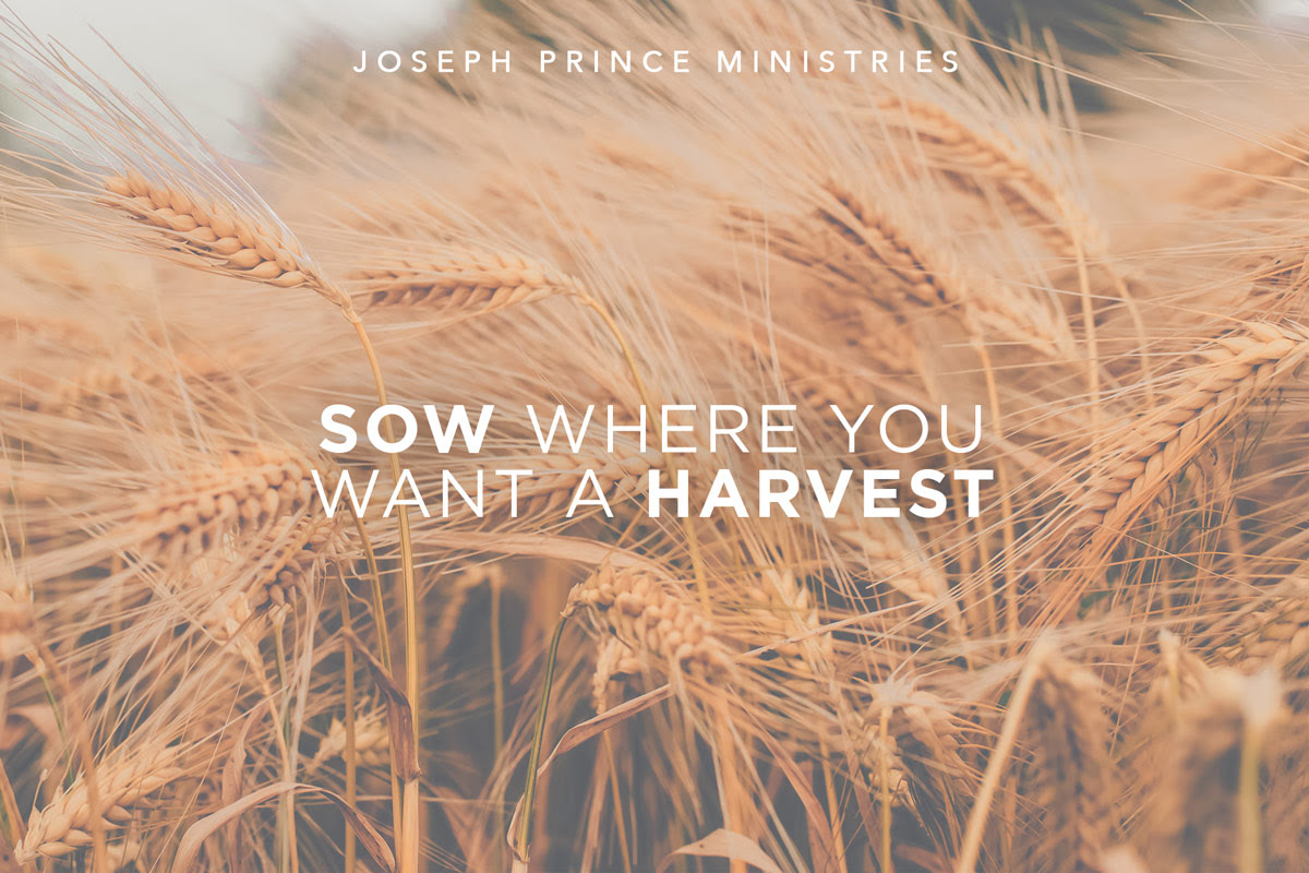 Sow where you want a harvest