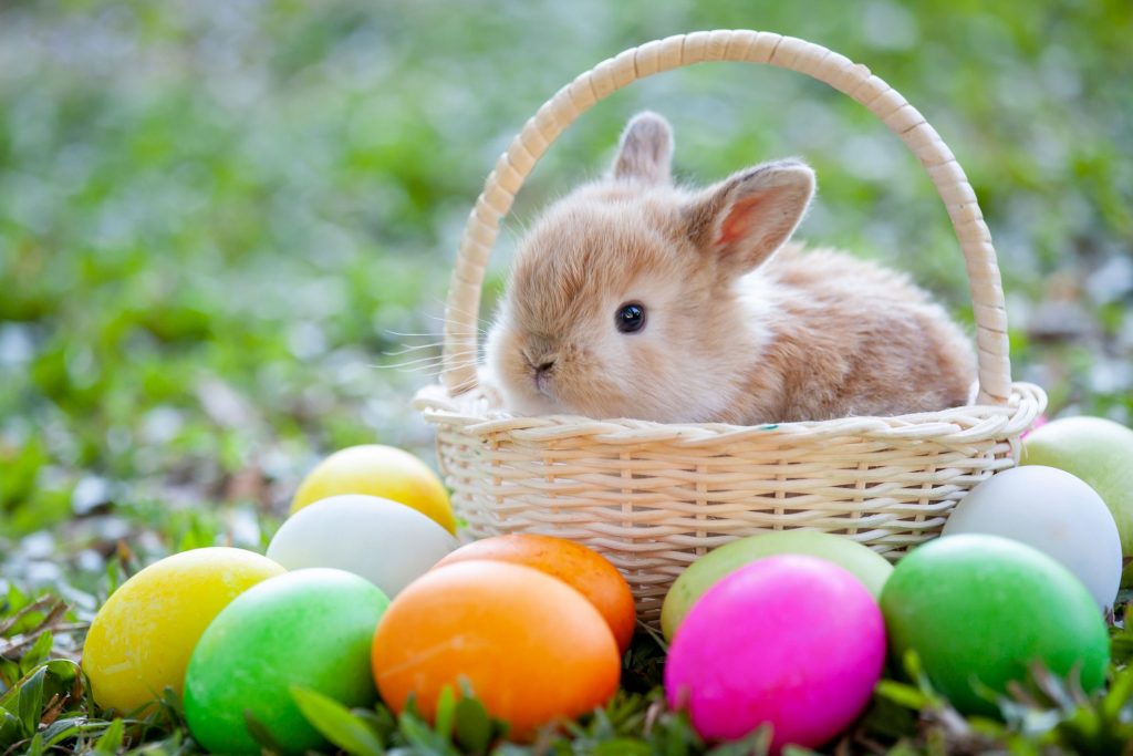 Easter Bunny and Happy Easter 2020