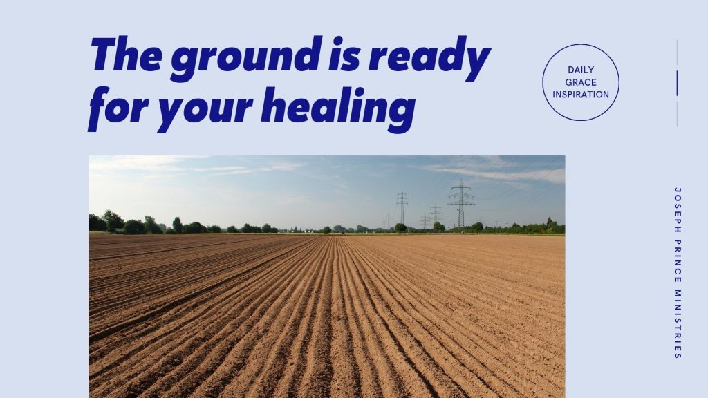 The Ground Is Ready for Your Healing