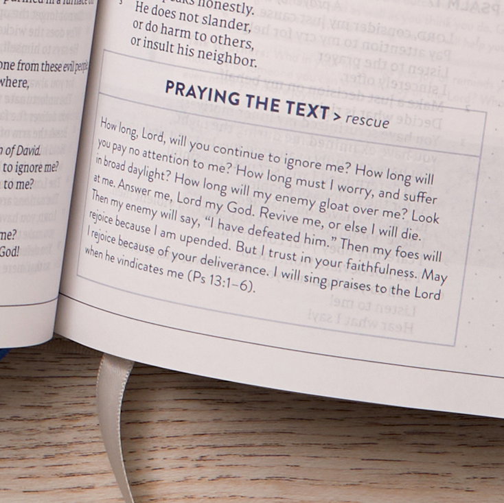 TEXT - Praying the text