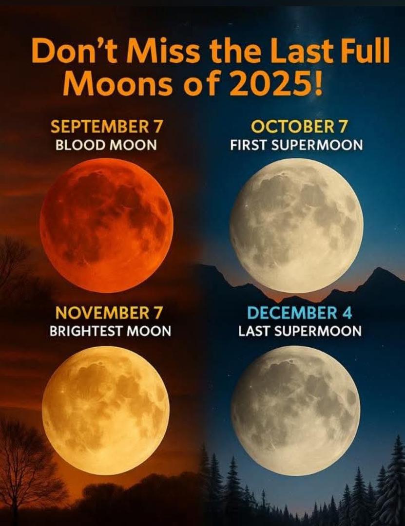 The Blood Moon on Sep 7, 2025